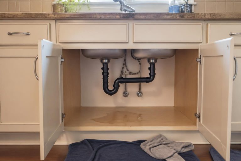 What to Do After Finding Water Under a Sink